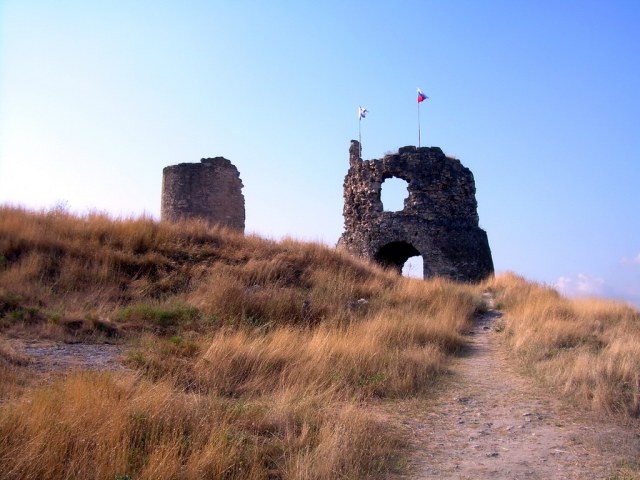 13 Каламита.jpg