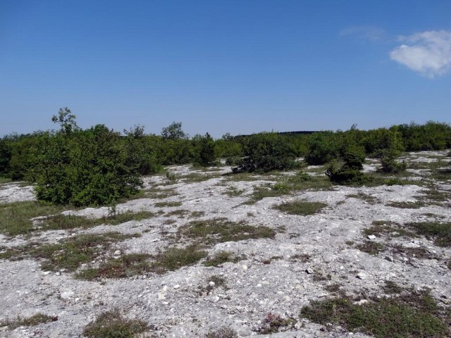 035 Место скифской деревни.jpg