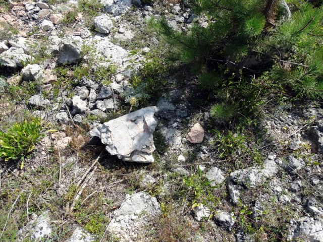 023 Оборонительная стена.jpg