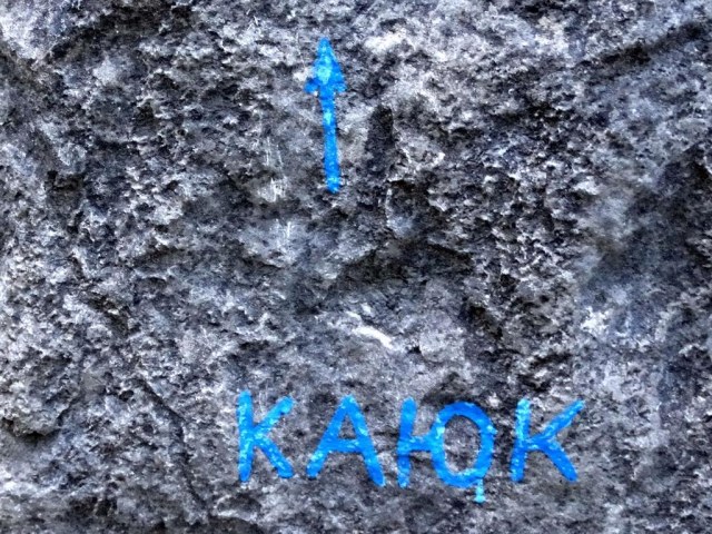 36 Маршрут.jpg