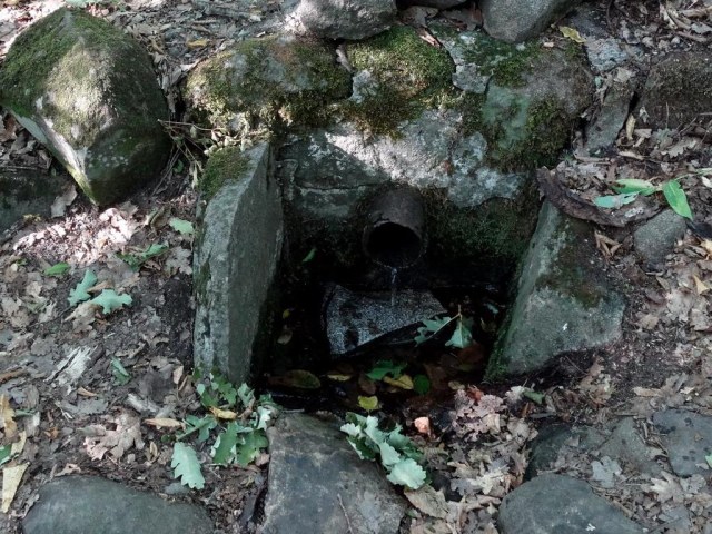 07 Родничок.jpg