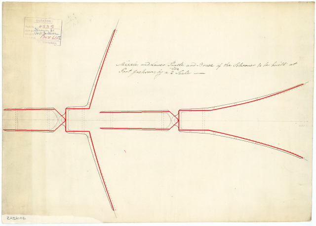 Петри руля1.png