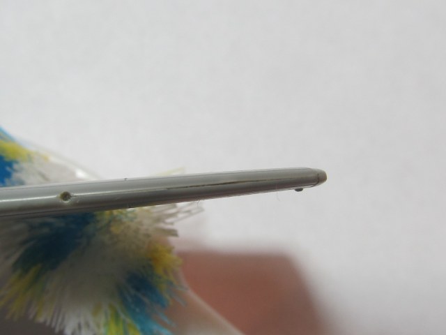 Изображение 158.jpg