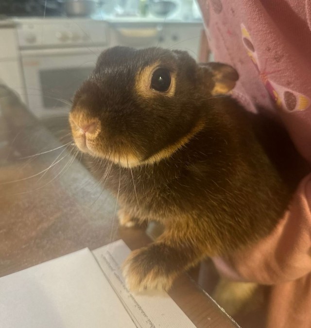 WhatsApp Image 2023-12-31 at 22.26.57 (1).jpeg