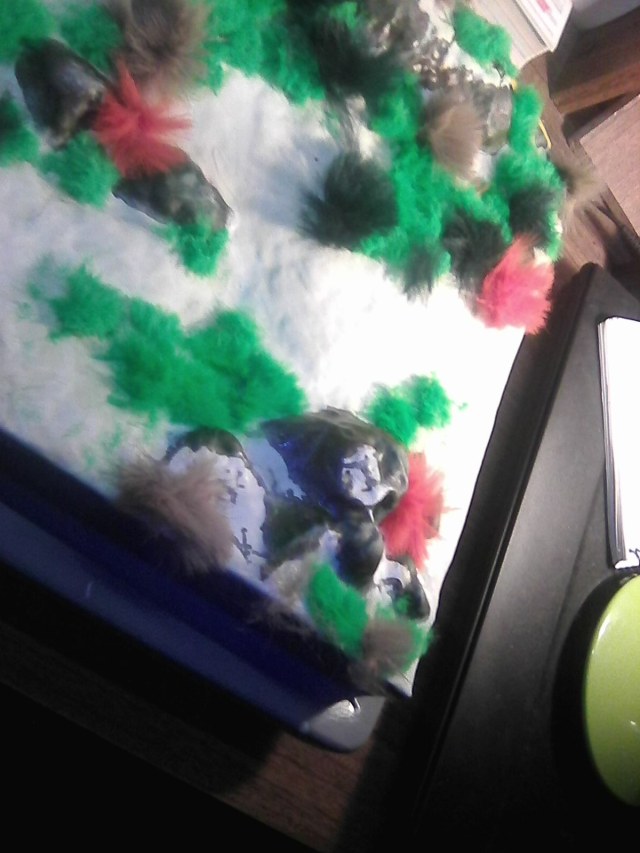 оформлени ДНА фото №2..jpg