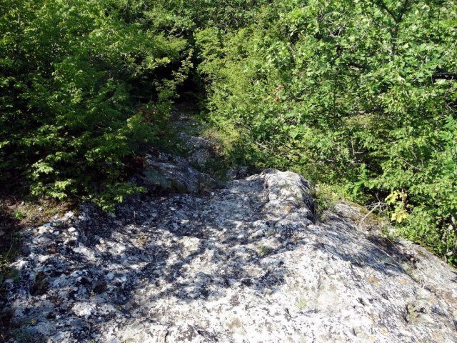 019 Лестница.jpg