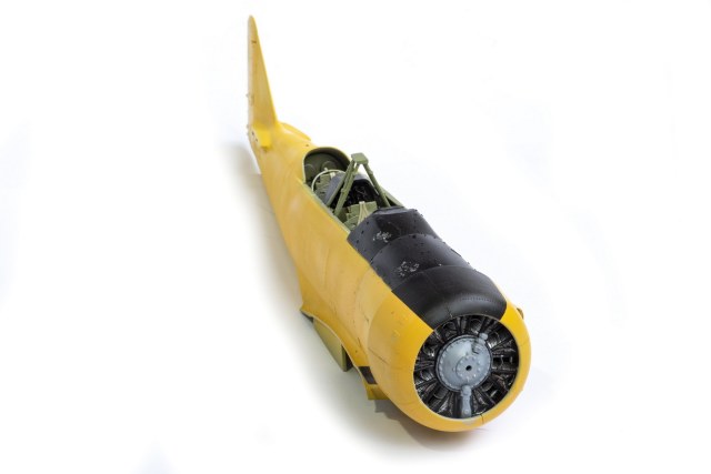 DSC00451_новый размер.jpg