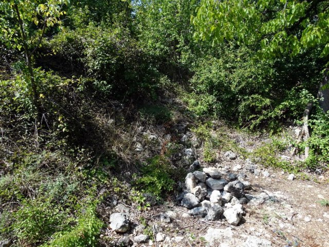 024 Оборонительная стена.jpg