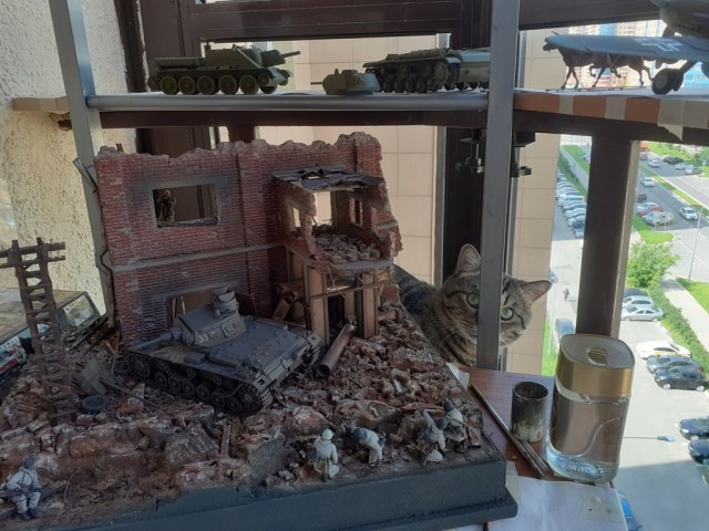 КОТ МОДЕЛИСТ.jpg