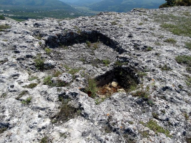 027 Тарапан.jpg