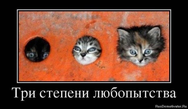 1508997018_1335964670_67246397_tri-stepeni-lyubopyitstva.jpg