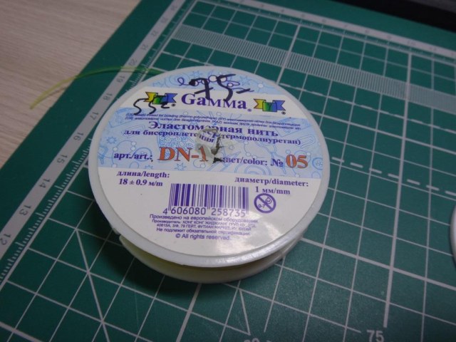 DSC03601.JPG