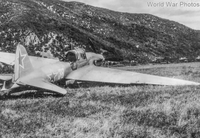 IL-2_38.jpg