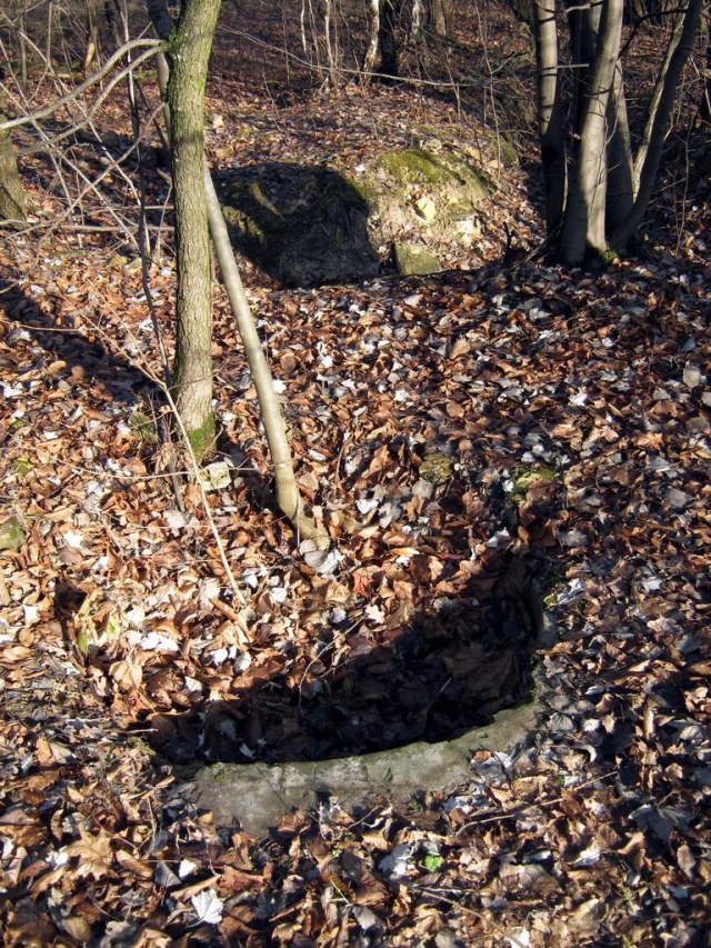 55 Колодец.jpg