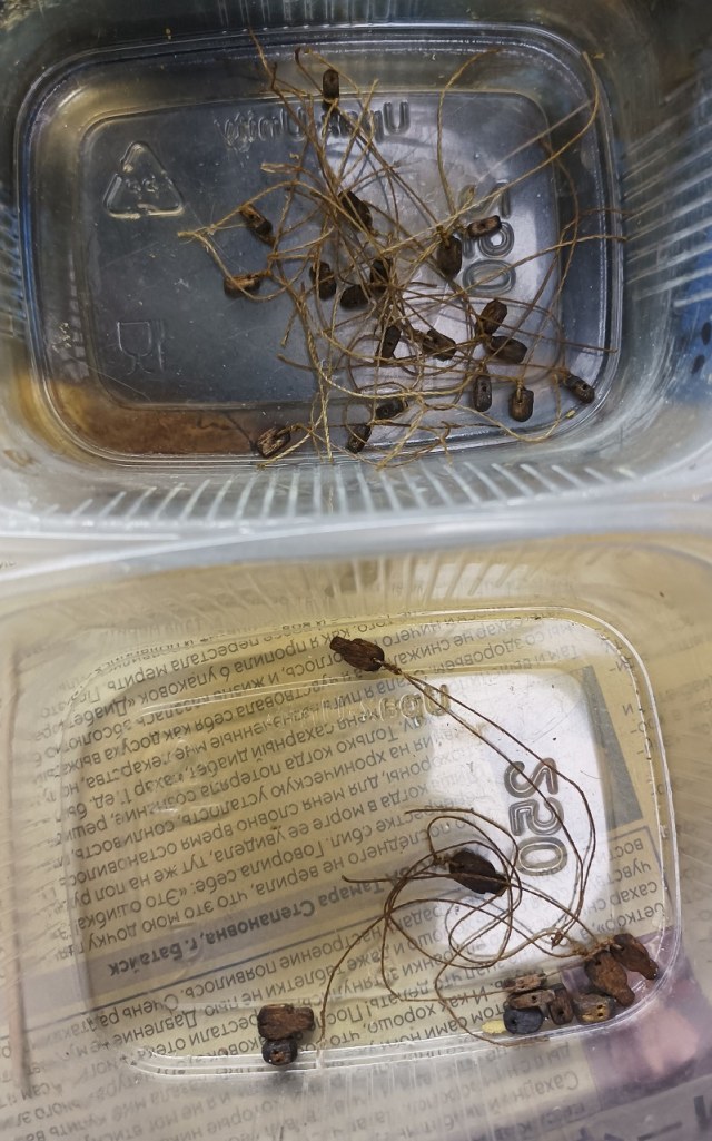 Нитки на блоках.jpg