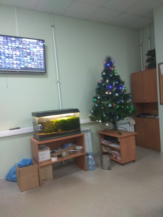 2019-12-31 12-51-27.JPG