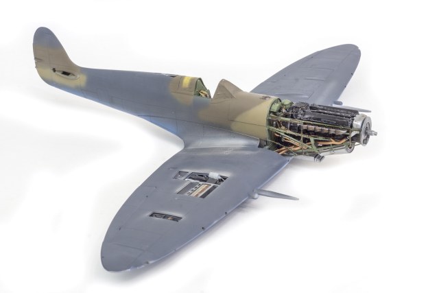 DSC07653_новый размер.jpg