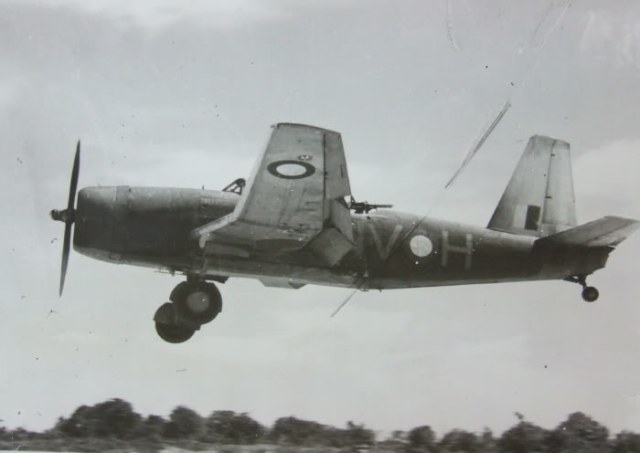 23скв хвост облез 43год закраска снизу.JPG