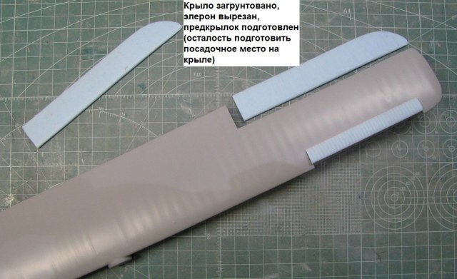 крыло.jpg
