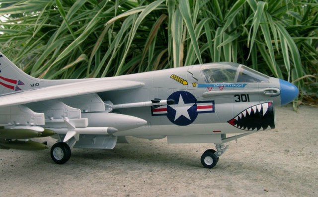 g07679_5971559 (1).jpg