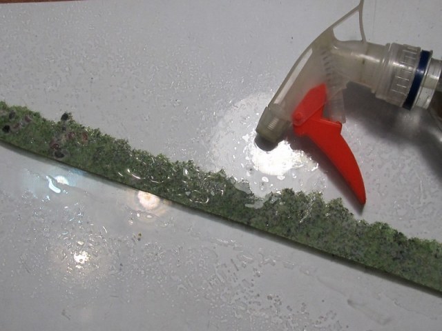 вампир 130.jpg