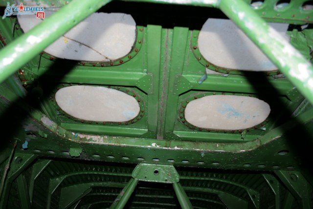 IMG_9952______ ______.jpg