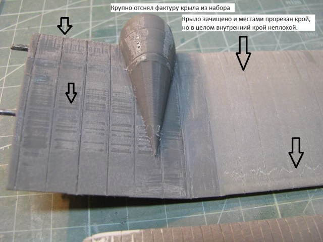 крыло фрагмент.jpg