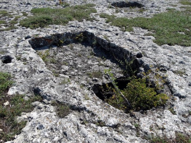 026 Тарапан.jpg