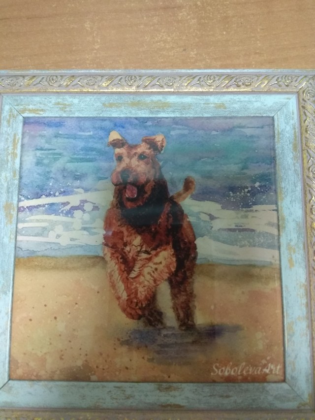 2019-12-31 18-03-22.JPG