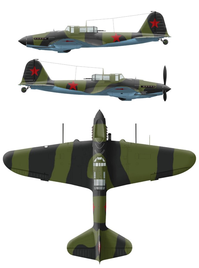 il2m--37bp-fl-al-3view-nii-vvs.jpg