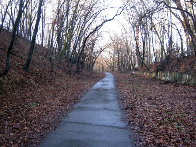 05 Дорога на гору.jpg