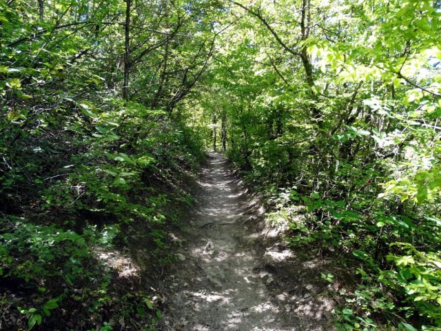 26 Тропа к монастырю.jpg