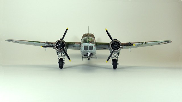 P1070413 - копия.JPG