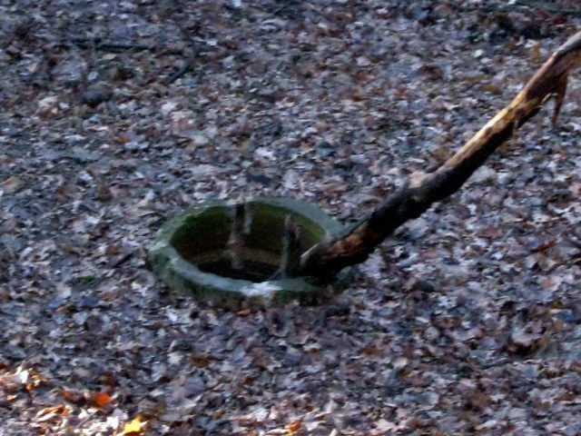 54 Колодец.jpg