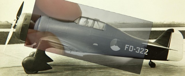 Fokker_D.XXI_ds.JPG