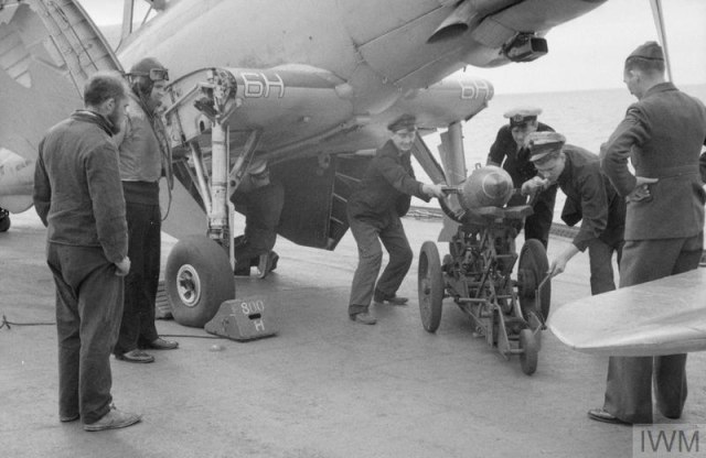 large_000000 (15).jpg