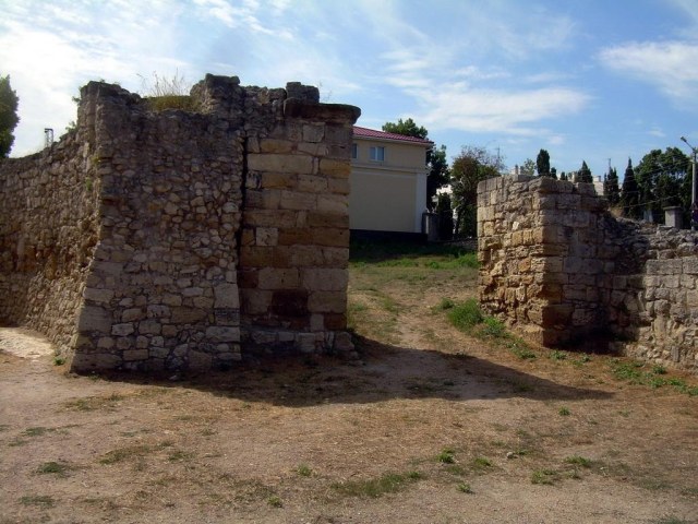 019 Клавикула.jpg