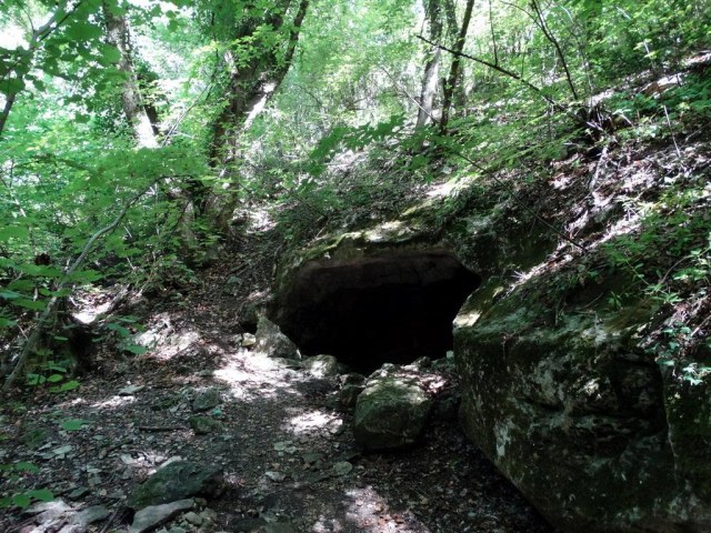 09 Кизильник.jpg