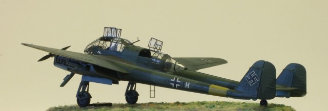 С земли_0030.JPG