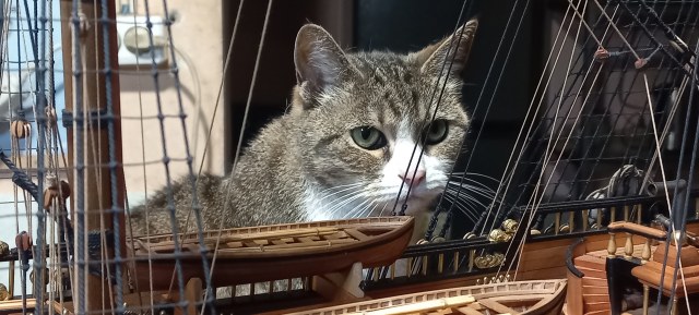 Машка, молчаливый соратник Ивана Иванова (Материалы для судомоделизма).jpg