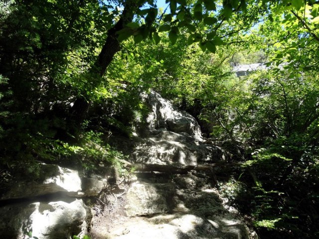 10 Тропа наверх.jpg