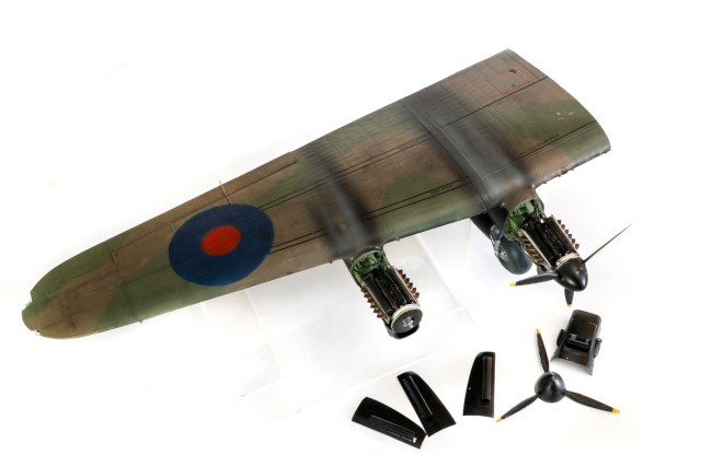 DSC08698 копия.jpg