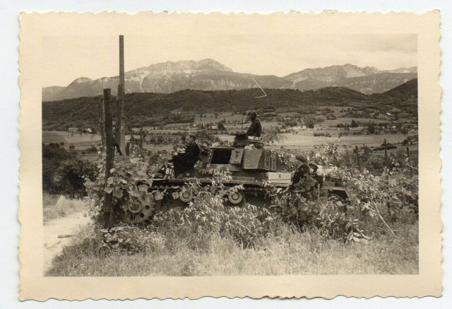 Wehrmacht-Frankreichfeldzug-Deckung-Weinrebe-Panzer.jpg