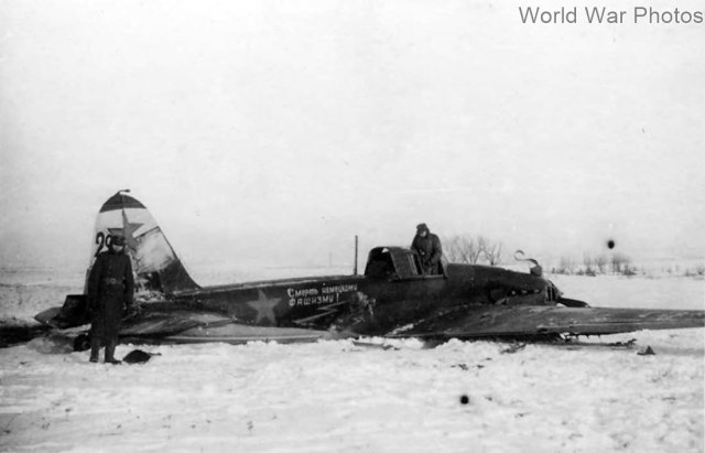 IL-2_29.jpg