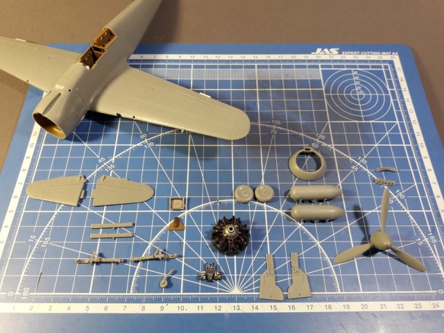 20190727_140814 (2).jpg