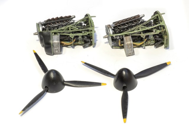 DSC08619 копия.jpg