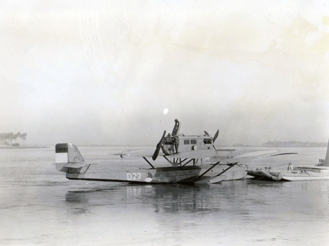 крупн. D-22.jpg