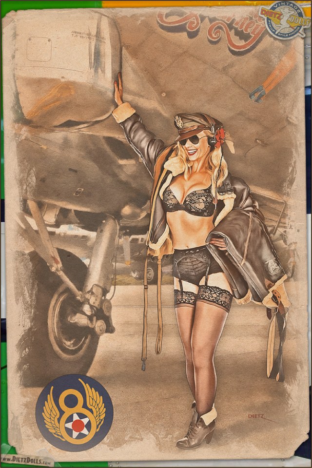 pinups___bomber_beauty_by_warbirdphotographer-d5t70ib.jpg