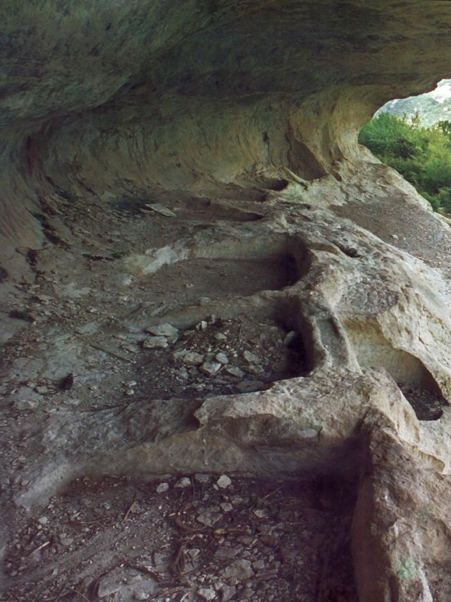 55 Тарапаны.jpg