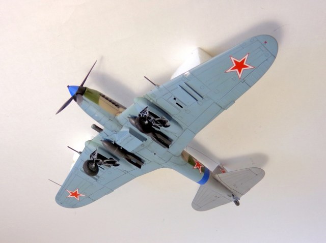 DSC02486 - копия.JPG